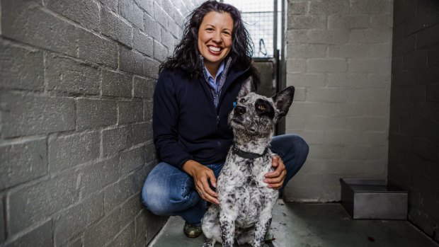 RSPCA ACT Chief executive Tammy Ven Dange has criticised the ACT Liberals decision not to ban greyhound racing until a local inquiry can be held. 