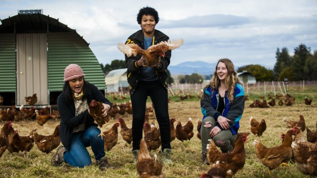 Canberra delegates to the Youth Agricultural Summit, Gabrielle Ho, Victoria Pilbeam and Brittany Dahl, are helping solve the world's food shortage. Photo: Elesa Kurtz