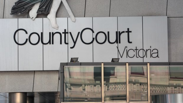 "I'm not upset at getting caught, I'm just upset that I'm stupid and sick," the man, who appeared in the County Court on Friday, told police.