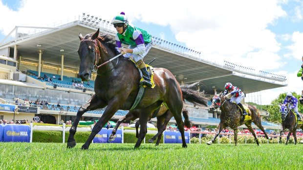 Clear favourite: Zasorceress wins at Moonee Valley on January 21.