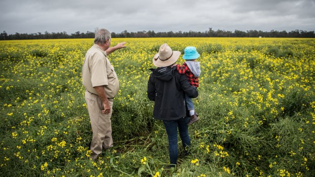 Neil Mattiske with his daughter Joanne and grandson Riley look out to their canola field