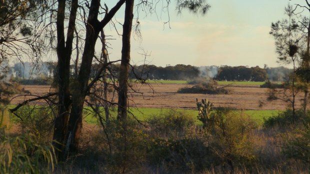 Pictures of burning stacks of native vegetation taken by Office of Environment and Heritage officer Robert Strange in Croppa Creek just before the killing of Glen Turner.