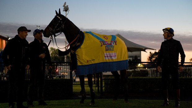 Good cause: Winx in her Jersey Day rug to raise awareness of organ and tissue donation.