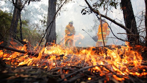 A prescribed burn operation in Wedderburn, Sydney's south-west in 2015.