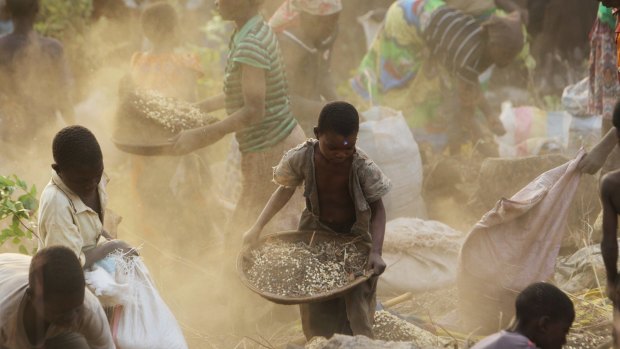 Women and children separate grain from soil in Malawi, where fears of vampirism proliferate today.