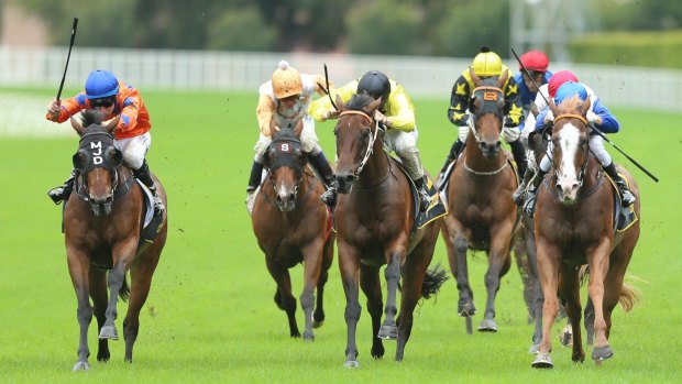 The Matthew Dale-trained Rocket Commander, far left, wasn't even going to race in the Wenona Girl Quality - until the rain hit Sydney.