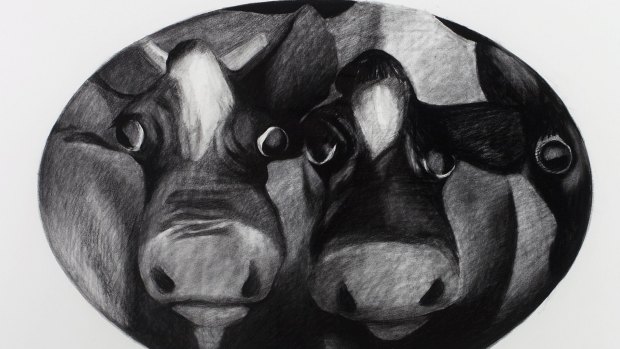 Cow portrait by William Robinson.