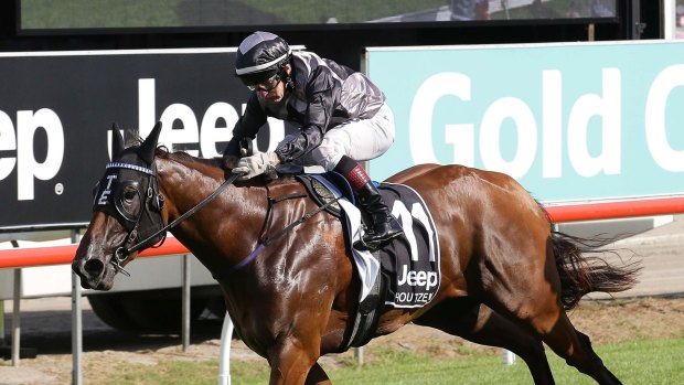 Stepping up: Star Queensland filly Houtzen will take on older sprinters at Moonee Valley.