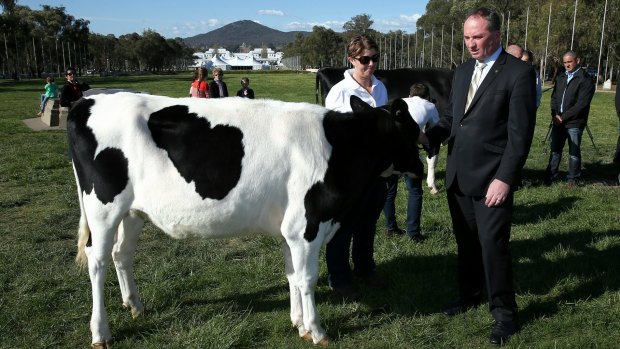 Agriculture Minister Barnaby Joyce has plans to milk the Chinese dining boom.