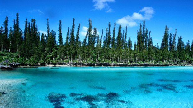 Pines Island at New Caledonia.