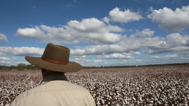 'It's a free ride,' one Telstra shareholder has said of moves to force the Telco giant to open up its regional network.