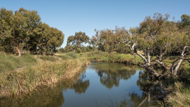 Kororoit Creek at Deer Park.