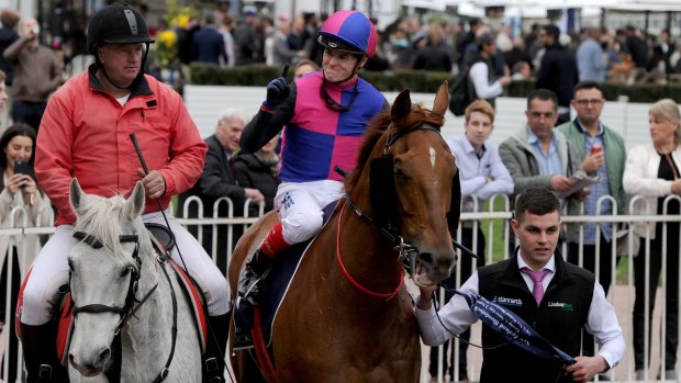 Everest favourite: Vega Magic has been the best backed as punters warm to The Everest.