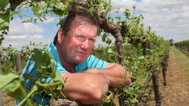Kevin Leach pictured at his family property with devastated crops from the storm that hit Mildura overnight 