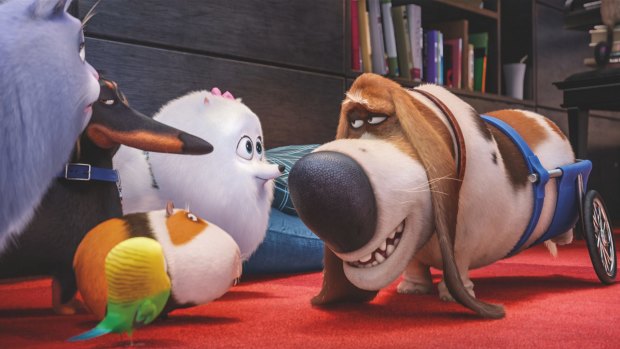 <i>The Secret Life of Pets</I> delivers a brisk four-legged adventure for the whole family to enjoy. 