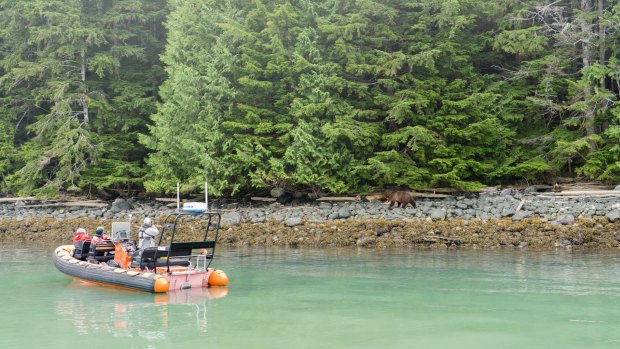 Cruising the bays and inlets carved into the coast of Vancouver Island. 