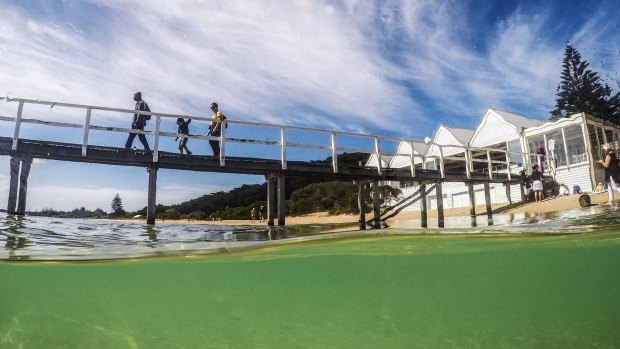 Sorrento front beach recorded one of the best water quality forecasts of the 36 monitored Port Phillip Bay beaches. 