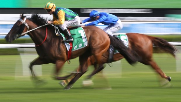 Talent: Glyn Schofield rides Ball Of Muscle at Royal Randwick.