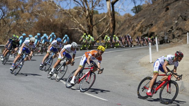 Vital stage: The Tour Down Under peloton during stage 3.
