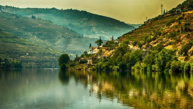 Douro River Valley. Port Wine vineyards region.