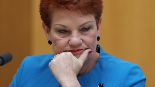Pauline Hanson has said she will not support public funds being loaned to Adani to build a train line from the Galilee Basin to the Queensland coast. 