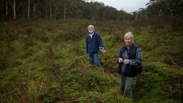 Chris Jonkers and Julie Favell from the Lithgow Environment Group explore the Carne West swamp.