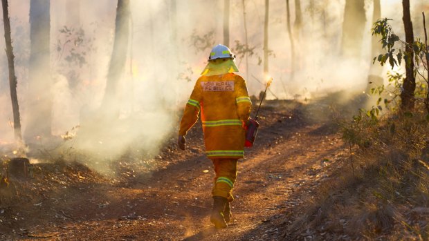 Fuel moisture levels are remarkably low, worrying fire experts.