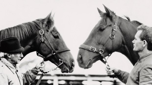 This composite photograph appeared in The Age in 1986, with Our Waverley Star and trainer Dave O'Sullivan on the left, and Bonecrusher and trainer Frank Ritchie on the right.
