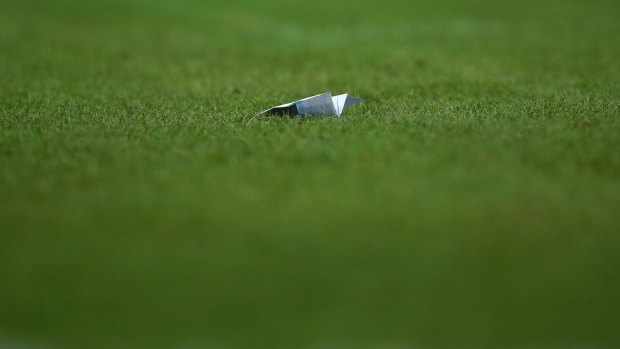Touchdown: A paper plane on the field during the international friendly match between Sydney FC and Tottenham Hotspur FC on May 30.