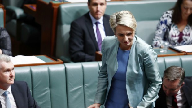 Deputy Opposition Leader Tanya Plibersek is ejected from the chamber under 94a during question time.