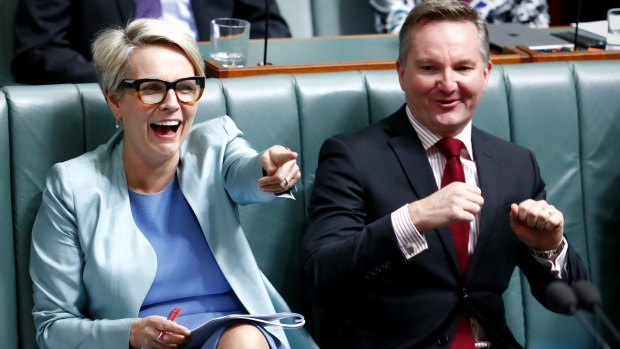 Deputy Opposition Leader Tanya Plibersek and shadow treasurer Chris Bowen react to comments by Mr Turnbull during question time.