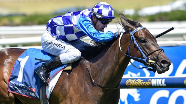 Blue Diamond favourite: Robert Smerdon is hoping for big things from Fontiton. 