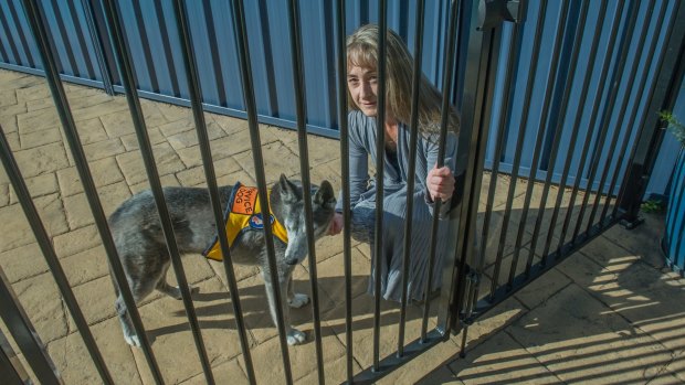 Stirling woman Livia Auer was attacked in October by one of the dogs, and believes diplomatic considerations have hampered investigations.