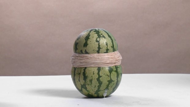 Steve Carr's Watermelon, 2015.