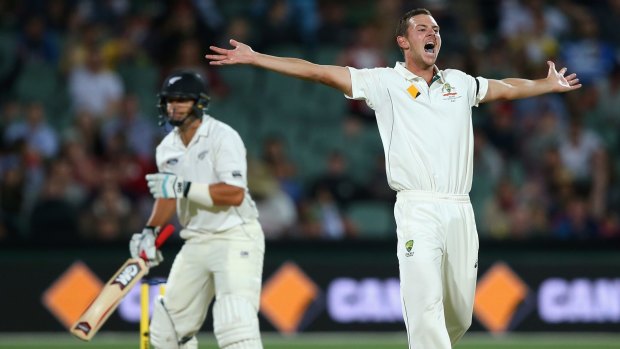 Josh Hazlewood traps Ross Taylor LBW.