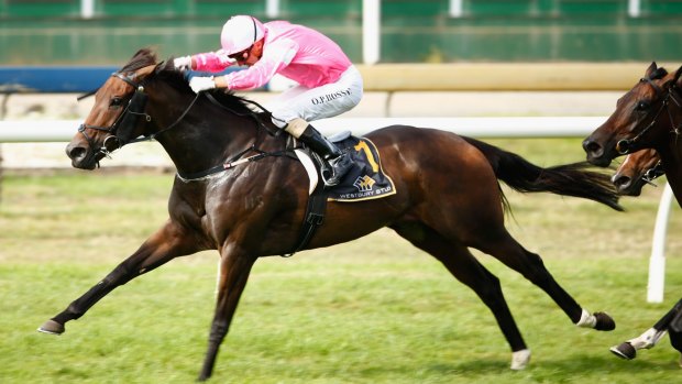 Dark Jewel hope: Trainer Bjorn Baker is hoping Diademe can finish her racing days in style.