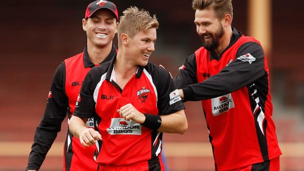 Blue in red: Adam Zampa celebrates with South Australia teammates after claiming the wicket of Shane Watson in the Matador Cup.