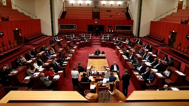 President of the Senate Stephen Parry speaks after the ABCC legislation went to a vote in the Senate.