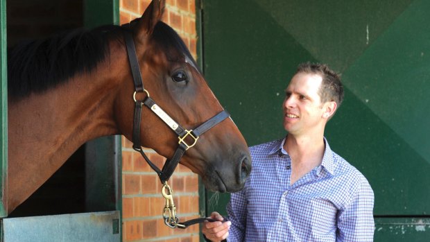 Canberra based horse trainer, Matthew Dale with Fell Swoop.