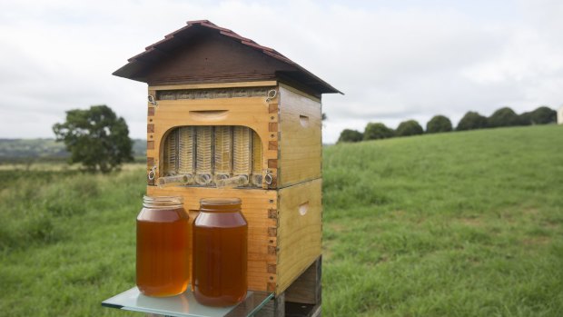 The Flow Hive raised more than $13 million in crowdfunding.