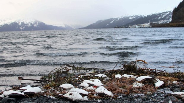 The new research is one in a string of studies that have used such a method to detect old carbon emerging from Arctic lakes or rivers.