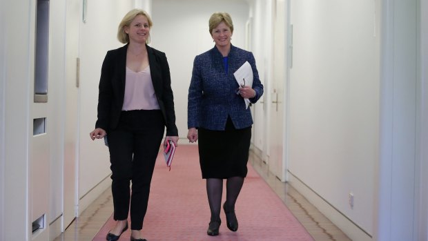 Greens leader  senator Christine Milne arrives at the Greens party room at Parliament House on Wednesday. 