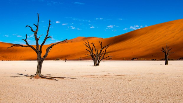 Deadvlei is a salt pan littered with camel-thorn trees that died perhaps 700 years ago.