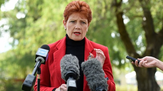 One Nation's comeback kid Pauline Hanson.