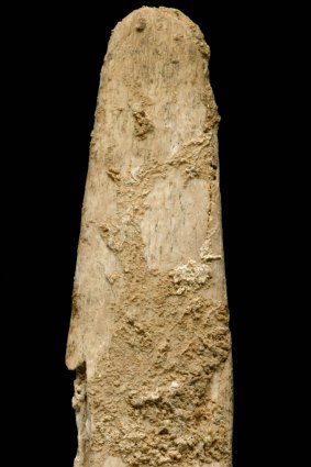 A bone tool smaller than a person's hand was found during excavations at the Neanderthal site of the Abri Peyrony project in France. 