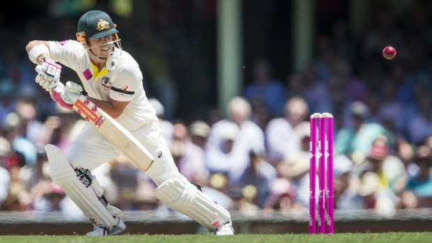 "He's batting the best he has in the last 18 months": David Warner on fellow opener Chris Rogers.