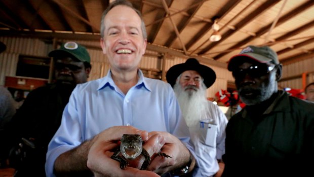 Opposition Leader Bill Shorten holds a baby crocodile during a visit to the remote community of Maningrida in West Arnhem Land.