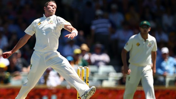 Peter Siddle has not played since the first Test against South Africa in early November.