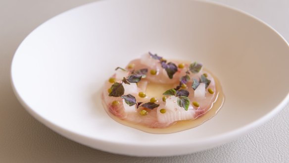 Kingfish with black pepper, finger lime and sea fennel.