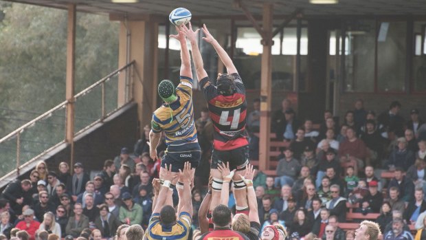 Dizzying heights: Club rugby has enjoyed a resurgence but it needs to be more than just a day out for a beer and barbecue.